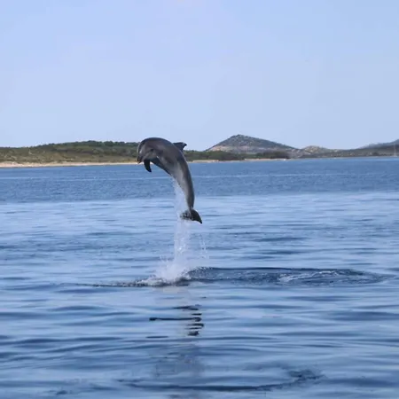 Mobile House 4 You, - Slanica Parque de vacaciones 3*