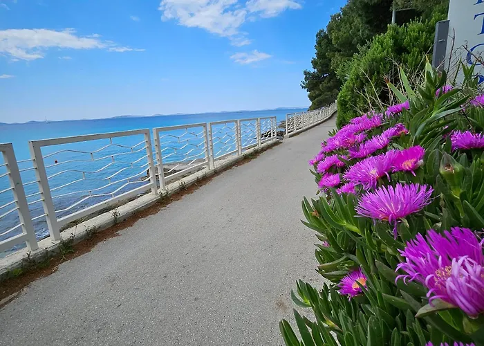 Mobile House 4 You, - Slanica