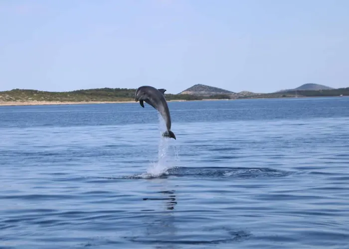 Mobile House 4 You, - Slanica Parque de vacaciones 3*